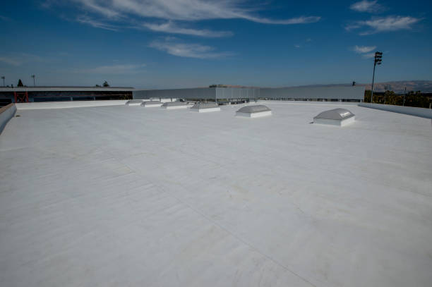Best Skylights  in Lamar, TX