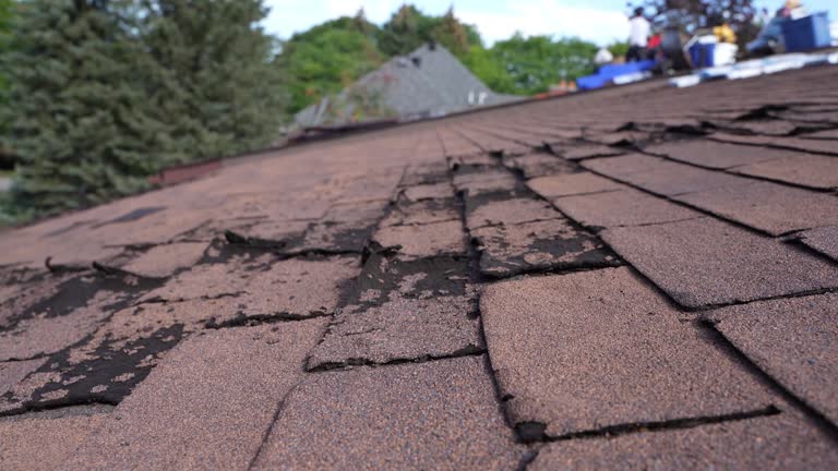 Best 4 Ply Roofing  in Lamar, TX