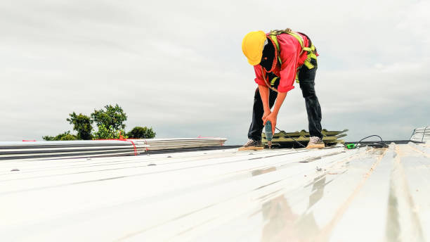 Roof Insulation in Lamar, TX