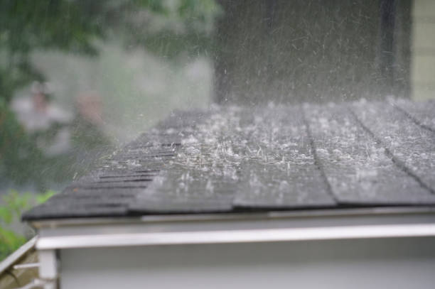 Best Emergency Roof Repair Services  in Lamar, TX