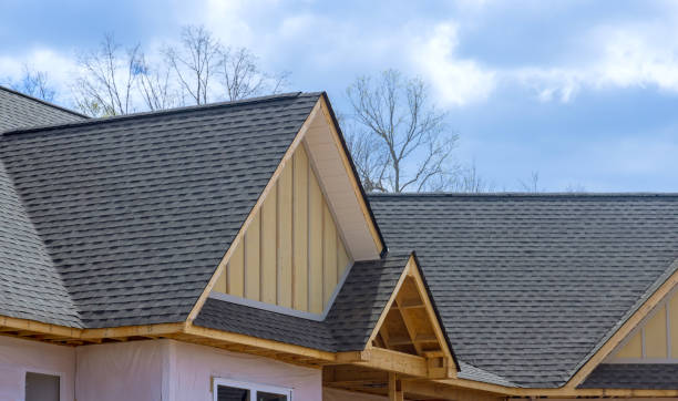 Best 4 Ply Roofing  in Lamar, TX